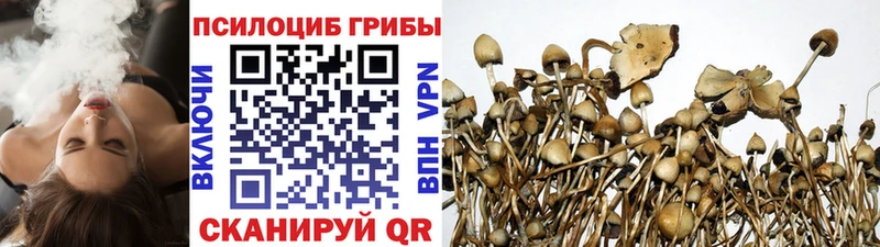 Галлюциногенные грибы GOLDEN TEACHER  Купить где  Певек 